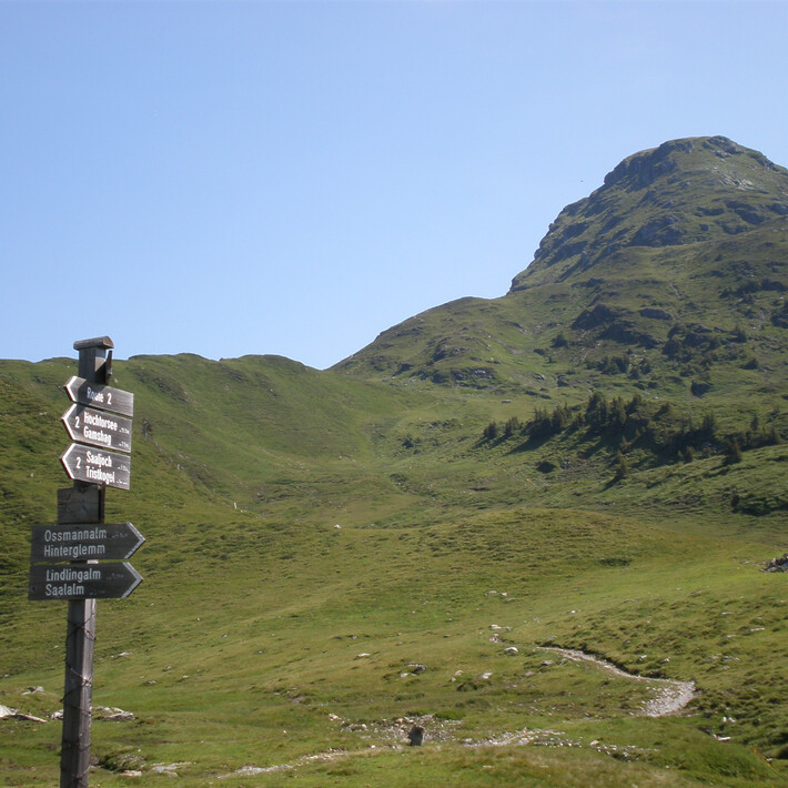 Saalkogel | Saalbach Hinterglemm