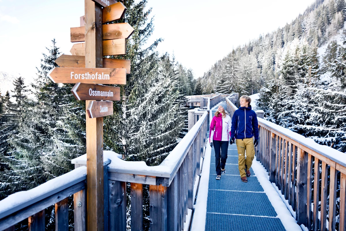 golden gate treetop trail infrastructure in saalbach