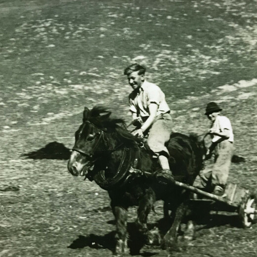 Fertilisation work Fertilisation work